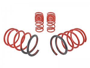 Honda Civic Lowering Springs - Skunk2 Racing - Set of 4 - `02-`05