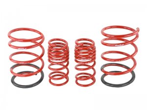 Honda Civic Lowering Springs - Skunk2 Racing - Set of 4 - `02-`05