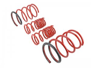 Honda Civic Lowering Springs - Skunk2 Racing - Set of 4 - `02-`05