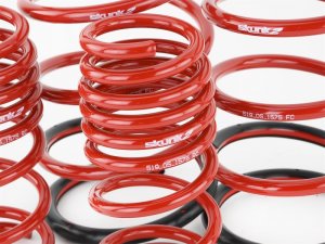 Honda Civic Lowering Springs - Skunk2 Racing - Set of 4 - `02-`05