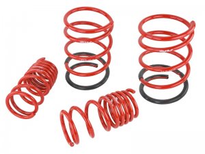 Honda Civic Lowering Springs - Skunk2 Racing - Set of 4 - `02-`05