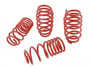 Honda Civic Lowering springs - Skunk2 Racing - `06-`09