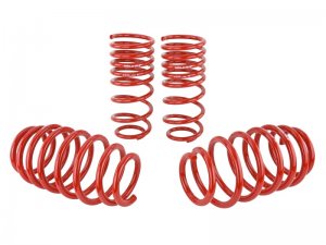 Honda Civic Lowering springs - Skunk2 Racing - `06-`09
