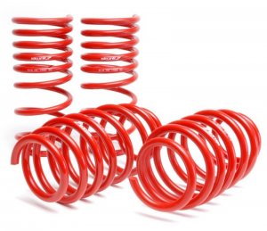 Honda Civic Lowering springs - Skunk2 Racing - `06-`09