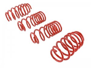 Honda Civic Lowering springs - Skunk2 Racing - `06-`09