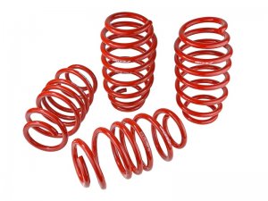 Honda Civic Lowering springs - Skunk2 Racing - `12-`15