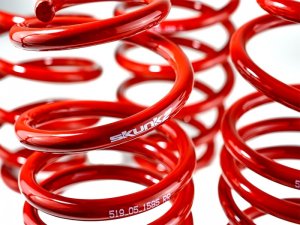 Honda Civic Lowering springs - Skunk2 Racing - `12-`15