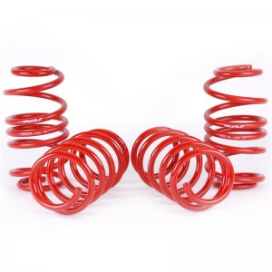 Honda Civic Lowering springs - Skunk2 Racing - `12-`15
