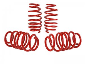 Honda Civic Lowering springs - Skunk2 Racing - `12-`15