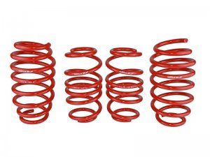 Honda Civic Lowering springs - Skunk2 Racing - `12-`15