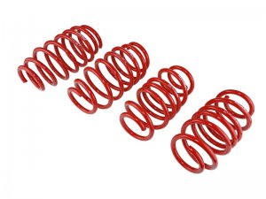 Honda Civic Lowering springs - Skunk2 Racing - `12-`15