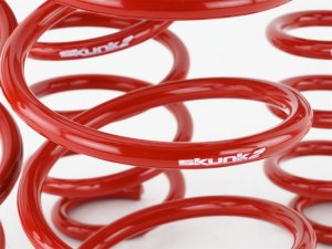 Honda Civic Lowering springs - Skunk2 Racing - `16-`17