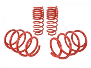 Honda Civic Lowering springs - Skunk2 Racing - `16-`17