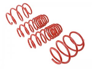 Honda Civic Lowering springs - Skunk2 Racing - `16-`17