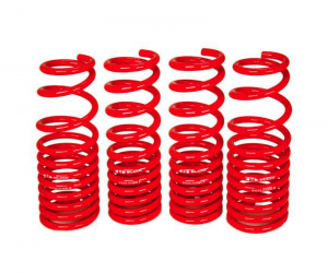 Honda Civic Lowering springs - BLOX Racing - BX - `16-`22