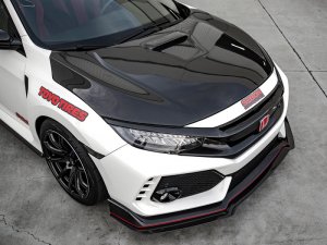 Honda Civic Hood - Seibon - OEM - Carbon Fiber - `17-`20