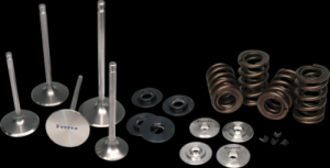 Honda Civic Valve Spring Kit - Ferrea - L15B Turbo