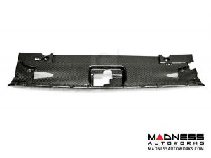 Ford Mustang Radiator Cover by Anderson Composites - Carbon Fiber 