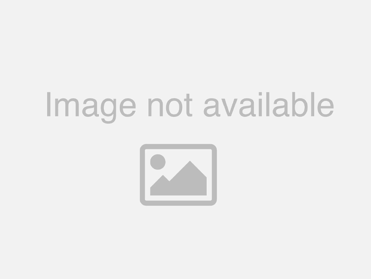 Alfa Romeo Stelvio Performance Exhaust - Left - Remus - 127mm Angled - Chrome - 2017 Alfa Romeo Stelvio Performance Exhaust - Left - Remus - 127mm Angled - Chrome - 2017