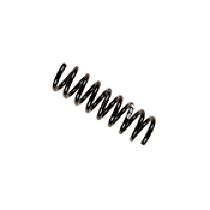 Mercedes-Benz E320 Coil Spring - Rear - Bilstein - B3 OE Replacement - `96-`03