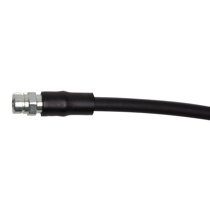 Audi S8 Brake Hose - Rear - DFC - `19-`24