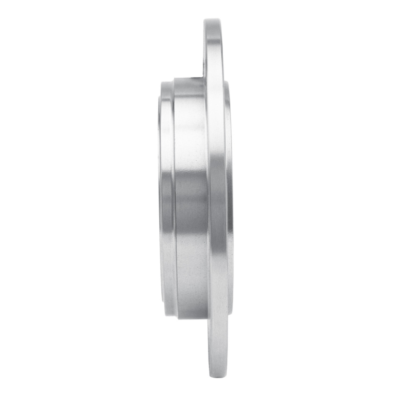 Chrysler Concorde Brake Rotor (1) - Rear - DFC - Plain - `93-`04