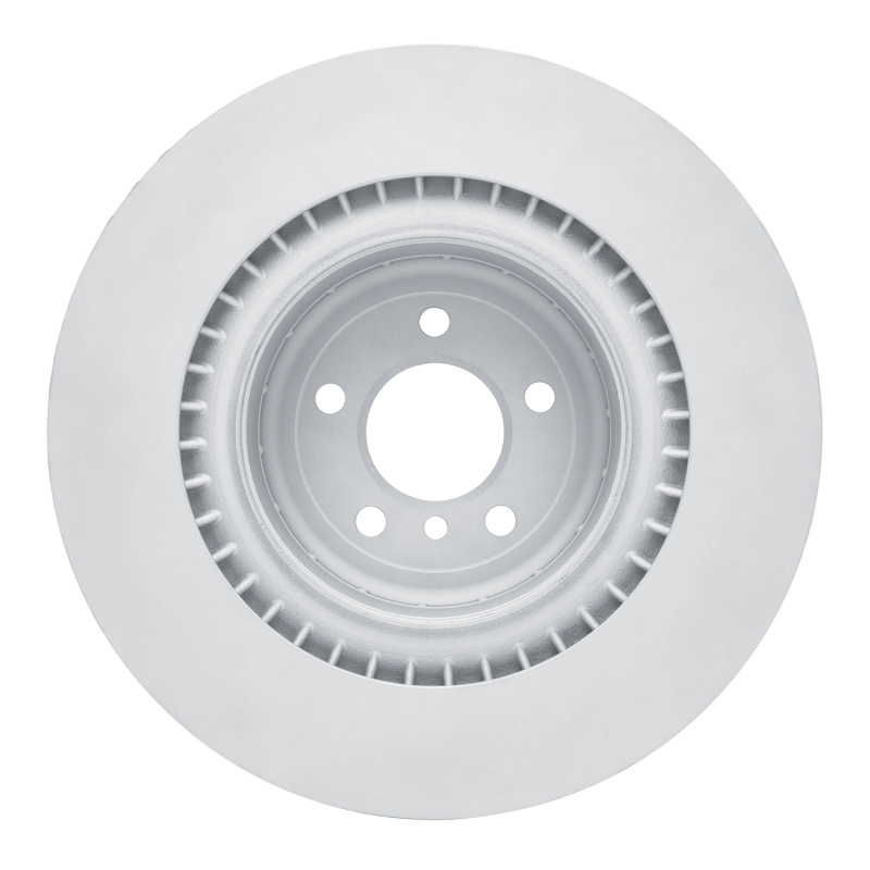 BMW X6 Brake Rotor (1) - Rear - DFC - Hi-Carbon Alloy Geomet Coated - `10-`14