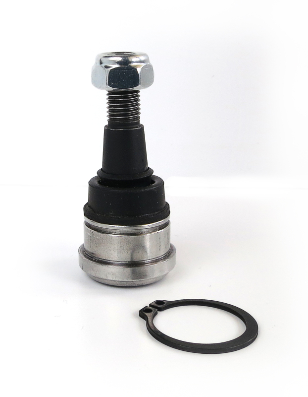 Chevrolet Equinox Brake Rotors (2) - Front - DFC - Carbon Coated + Optimum OE Pads - `02-`07