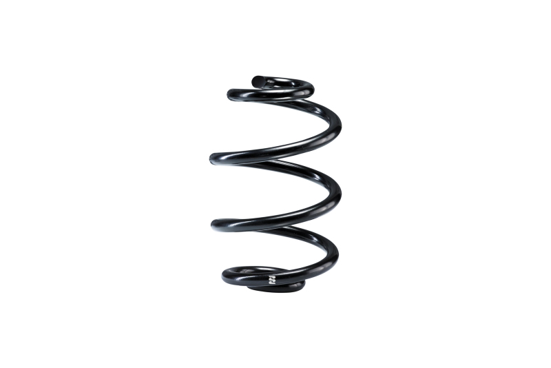 Mercedes-Benz C280 Suspension Spring - Rear - Eibach - OE Replacement - `01-`07