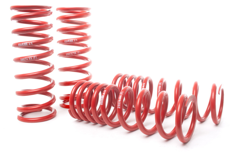 Ferrari 599 GTB Suspension Lowering Springs - H&R - Sport Springs - `06-`12