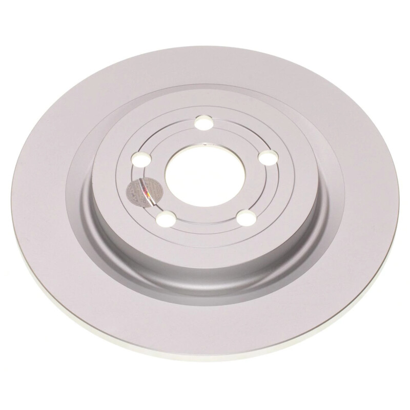 Ford Mustang Mach-E Brake Rotor (1) - Rear - PowerStop - Evolution Coated - `21-`23 Ford Mustang Mach-E Brake Rotor (1) - Rear - PowerStop - Evolution Coated - `21-`23