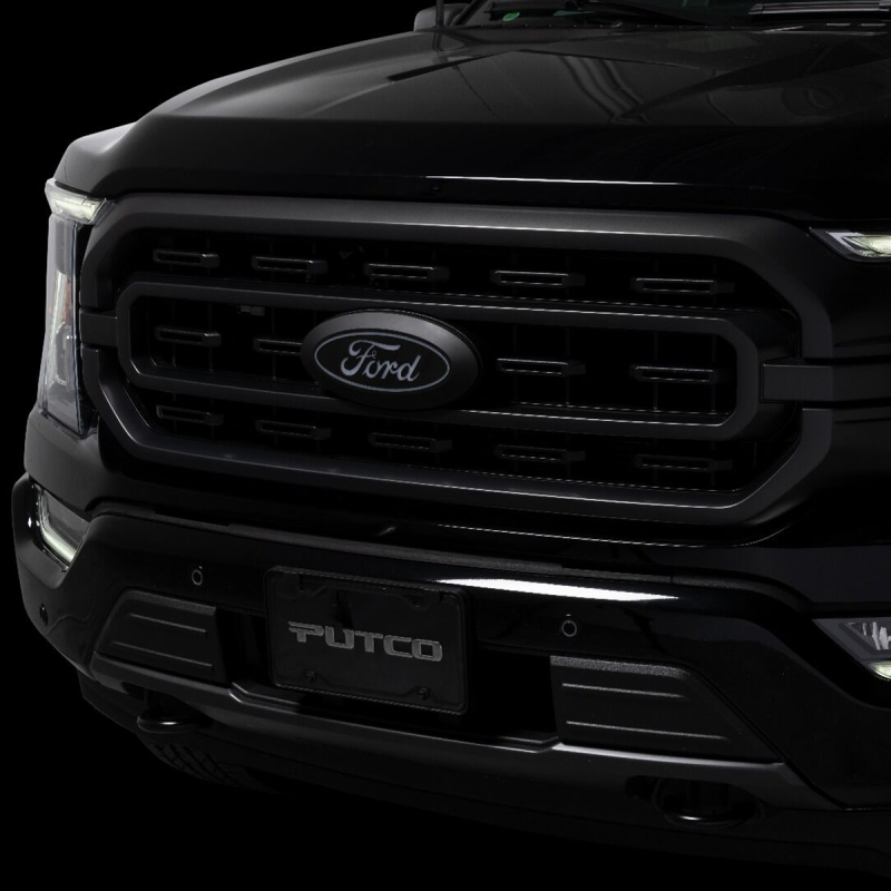 Ford F-150 LED Emblem - Front - Putco - Luminix - White - `15-`17