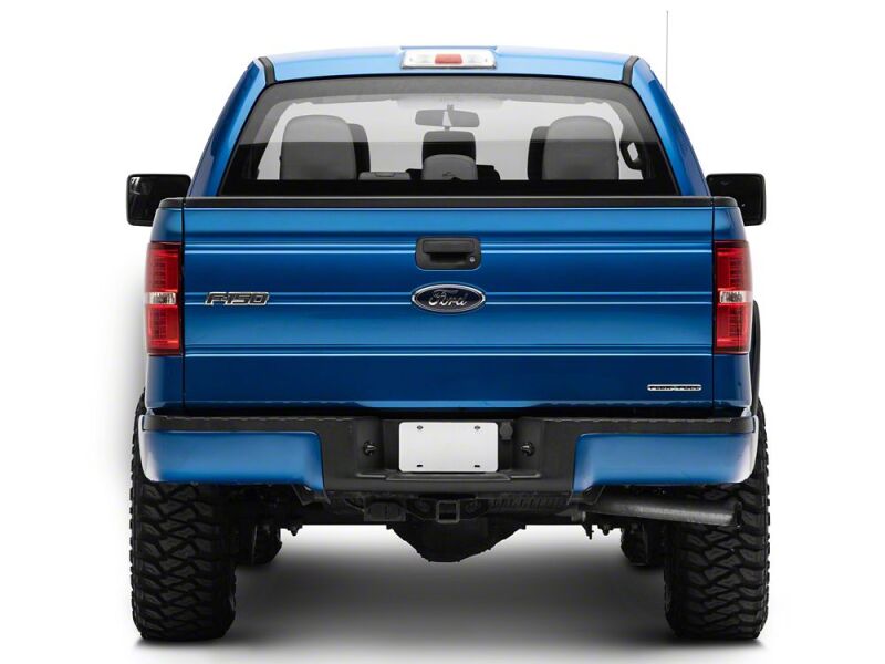 Ford F-150 LED Taillights - Raxiom - Chrome Housing- Red/Clear Lens - `09-`14
