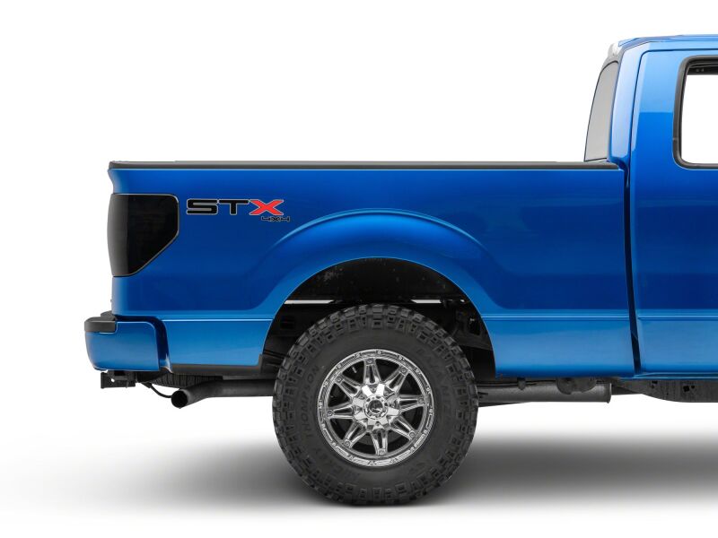 Ford F-150 LED Taillights - Raxiom - Axial Series - Black Housing- Smoked Lens - `09-`14