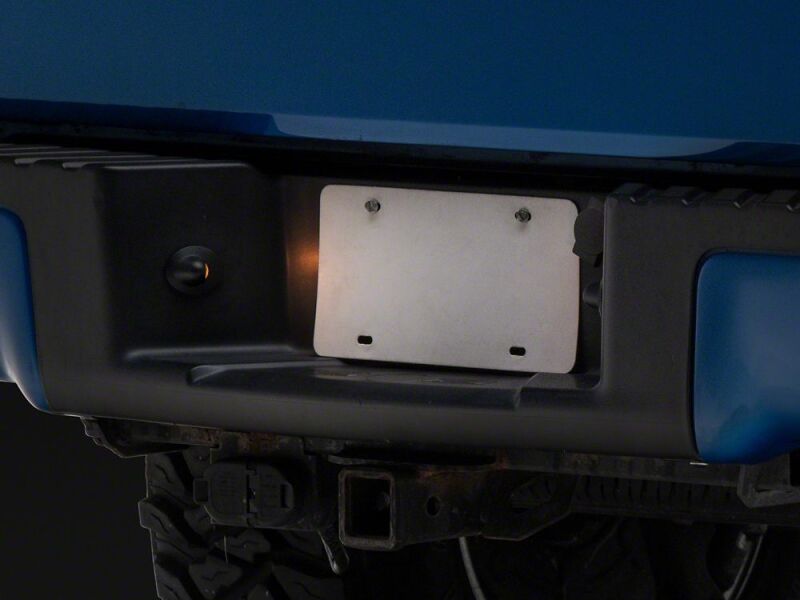 Ford F-150 License Plate Bulbs - Raxiom - Axial Series - `97-`14