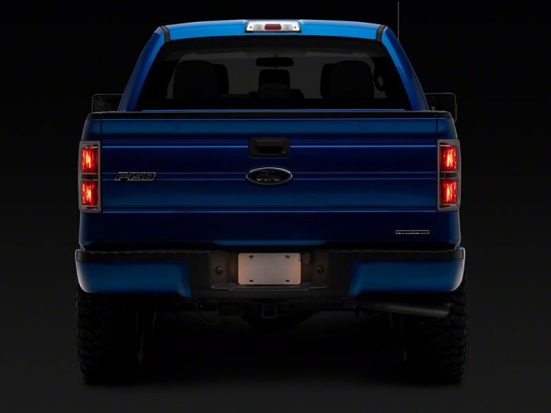 Ford F-150 License Plate Bulbs - Raxiom - Axial Series - `97-`14