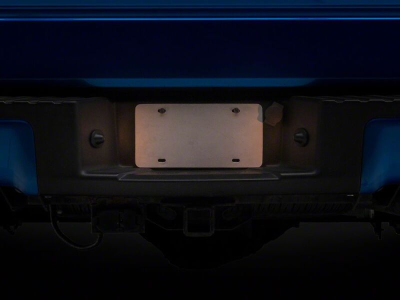 Ford F-150 License Plate Bulbs - Raxiom - Axial Series - `97-`14