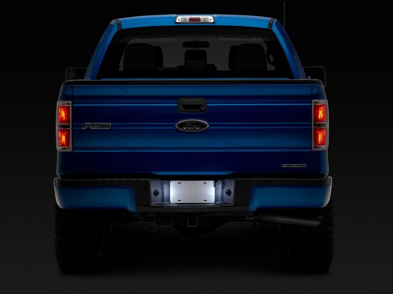 Ford F150 Light Brackets - Raxiom - `97-`14