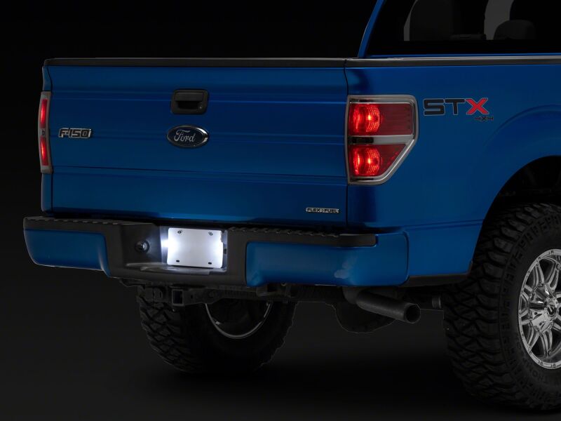 Ford F150 Light Brackets - Raxiom - `97-`14