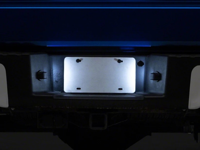 Ford F-150 License Plate Bulbs - Raxiom - LED - White - `04-`14