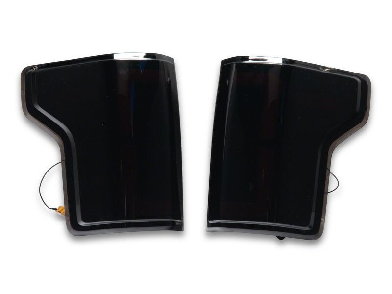 Ford F-150 LED Taillights - Raxiom - LDS Series - Black - `15-`20