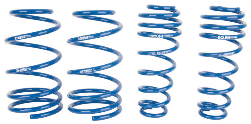Ford Mustang Lowering Springs - Roush - RSH Coil Springs - `05-`14 Ford Mustang Lowering Springs - Roush - RSH Coil Springs - `05-`14