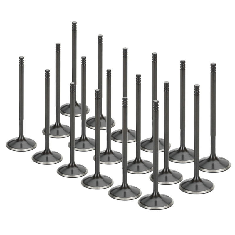 Audi A4 Intake Valves - Supertech - Nitrided - Black - `97-`06