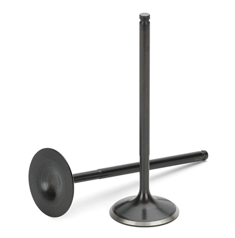 BMW 7 Series Intake Valves - Supertech - Black Nitrided, Set of 12 - Black - `09-`12