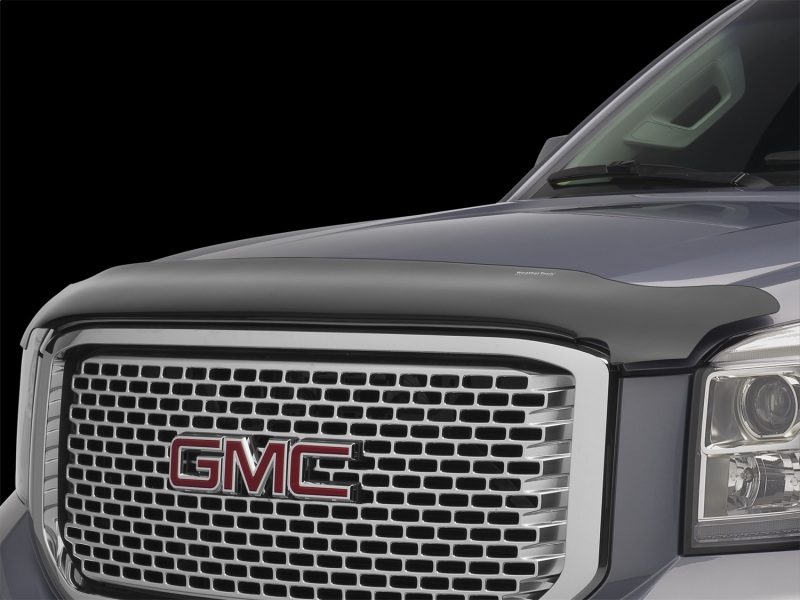 Kia Sorento Stone and Bug Deflector - WeatherTech - Dark Smoke - `03-`07