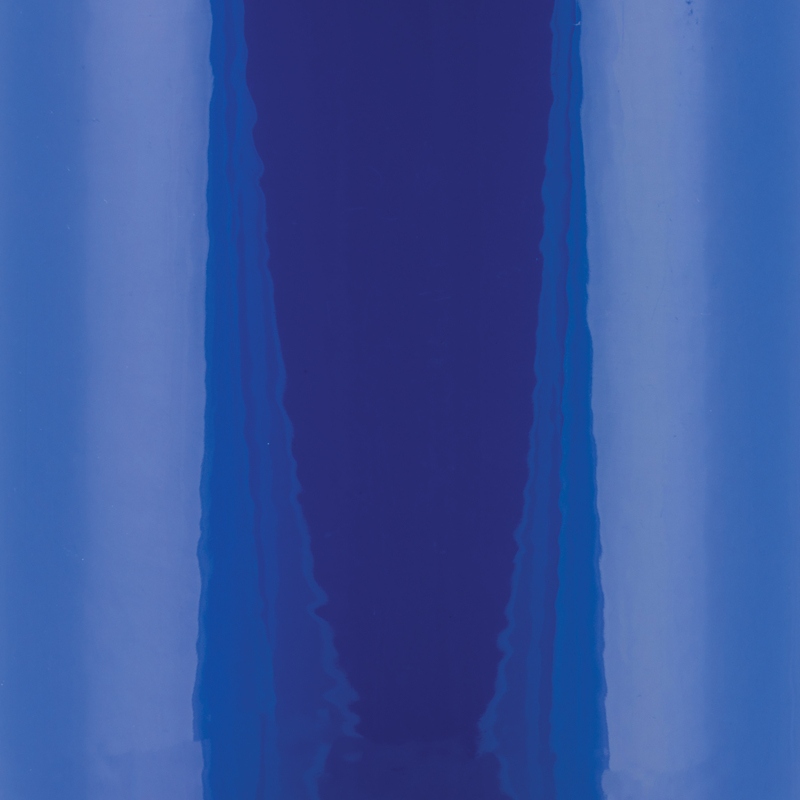 Ford Super Duty Coolant Tank Kit - Wehrli - Bengal Blue - `17-`25