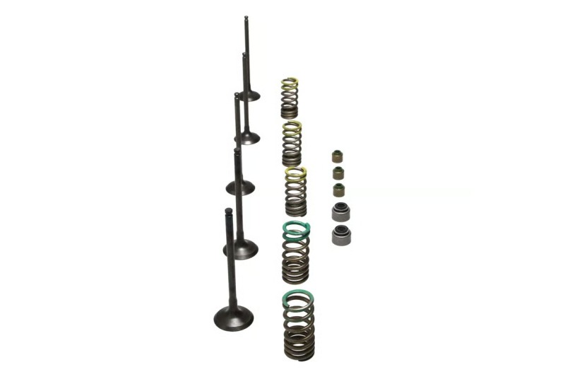 Yamaha YZ250F Engine Valve Kit - Wiseco - Steel - `01-`13