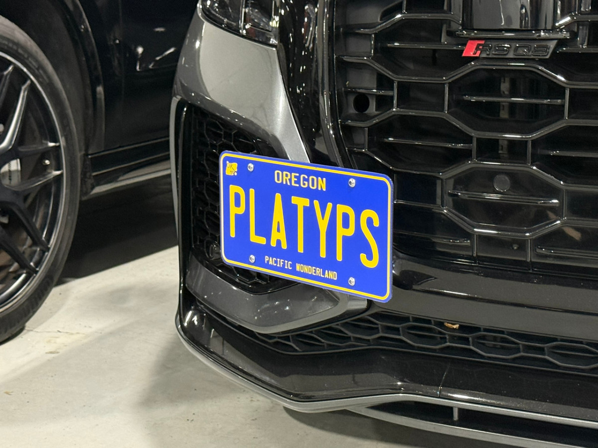 Audi RSQ8 License Plate Mount - Platypus (2020-2024)