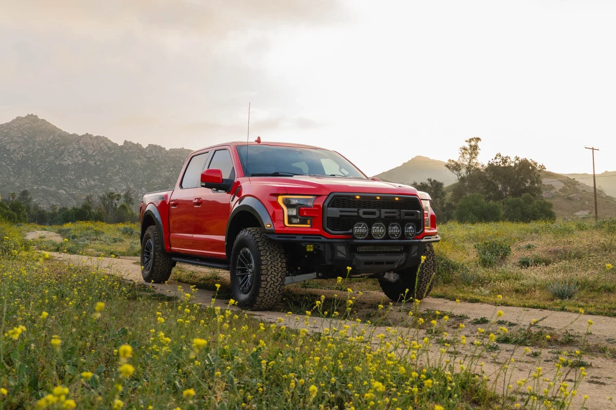 Ford F-150 Raptor Front Bumper - DV8 Offroad - Tube - `17-`20