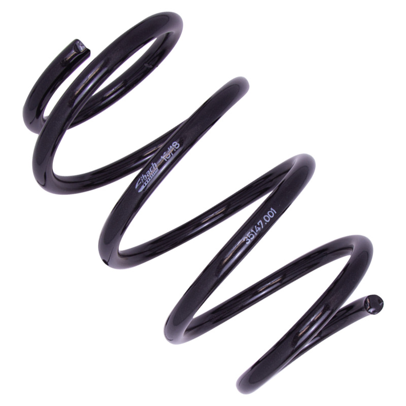 Ford Mustang Coilover Suspension Kit - Bilstein - B12 Pro-Kit - `15-`22